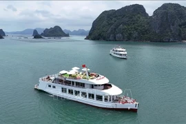 Barcos turísticos en la bahía de Ha Long (Fuente: VNA)