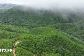 Foto ilustrada (Fuente: VNA)