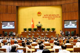 En una sesión de la Asamblea Nacional (Fuente: VNA)