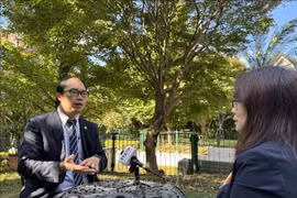 El doctor Nguyen Hong Son, presidente de la Unión de Asociaciones de Vietnamitas en Japón (Fuente: VNA) 
