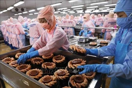 Foto ilustrada (Fuente: VNA)