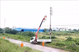 El equipo regional de gestión energética de Hai Phong instala equipos de protección contra rayos en el sistema de postes y cables. Foto: VNA