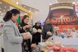Visitantes a la Feria de Primavera (Fuente: VNA)