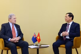 El vicepremier y canciller de Vietnam, Bui Thanh Son, (derecha) y el ministro de Relaciones Exteriores de Nueva Zelanda, Winston Peters (Fuente: VNA)