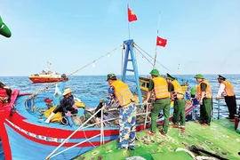 La Fuerza de Guardia Fronteriza de Quang Ngai patrulla regularmente el mar y gestiona estrictamente los casos de buques pesqueros que violan las regulaciones de pesca IUU. (Foto: nhandan.vn)