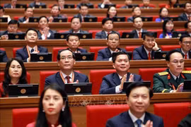Delegados en la cita (Fuente: VNA)