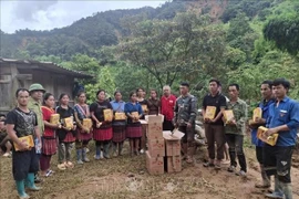 La Cruz Roja de Vietnam ha aprobado un paquete de ayuda humanitaria urgente por un valor aproximado de 25 mil 600 dólares (Fuente: VNA)