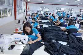 La maquinaria moderna mejora la productividad laboral. (Foto: VNA)