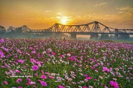 La belleza del Puente Long Bien, un símbolo cultural e histórico de Hanoi. (Foto: VNA)