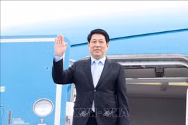 El presidente de Vietnam, Luong Cuong (Fuente: VNA)