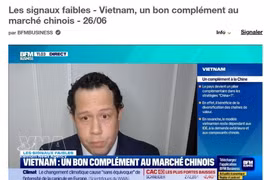 Mickaël Driol, director general de Mekong Partners (Fuente: VNA)
