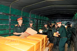 El Ministerio de Defensa de Vietnam decidió desplegar un equipo militar de ayuda humanitaria y respuesta a desastres, integrado por 82 efectivos, a Venezuela (Fuente: VNA)