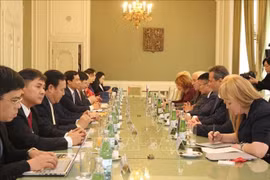 En la reunión entre la delegación vietnamita y el Senado checo (Fuente: VNA)