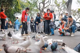 Hanoi ha puesto en marcha una serie de nuevos productos turísticos en sus zonas suburbanas (Fuente: VNA)