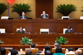 En una sesión de la Asamblea Nacional de Vietnam (Fuente: VNA)