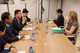 En la reunión entre el viceprimer ministro Le Thanh Long y la directora general de la Organización Internacional para las Migraciones (OIM), Amy Pope (Fuente: VNA)