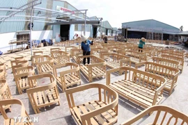 Foto ilustrada (Fuente: VNA)