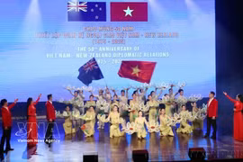 La celebración del 50 aniversario de las relaciones diplomáticas entre Vietnam y Nueva Zelanda fue organizada por el Comité Popular de Ciudad Ho Chi Minh. (Fuente: VNA)