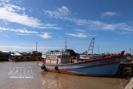 Los barcos están anclados en el puerto pesquero de Dinh An, comuna de Dai An, provincia de Vinh Long. Foto: VNA