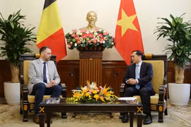 El vicepremier y canciller de Vietnam, Bui Thanh Son (derecha), se reúne con el vicepremier y ministro de Asuntos Exteriores, Asuntos Europeos y Cooperación al Desarrollo de Bélgica, Maxime Prevot (Fuente: VNA)