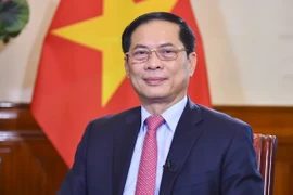 El viceprimer ministro y titular de Relaciones Exteriores de Vietnam, Bui Thanh Son (Fuente: VNA)