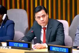 El embajador Dang Hoang Giang, jefe de la misión permanente de Vietnam ante la Organización de las Naciones Unidas (ONU) (Fuente: VNA)