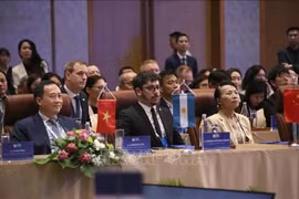 Participantes en el Foro (Fuente: VNA)