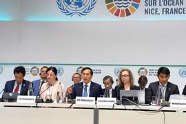 El viceprimer ministro y canciller de Vietnam, Bui Thanh Son, junto con la ministra de Protección Ambiental y Transición Verde de Croacia, Marija Vučković, copresiden la sesión (Fuente: VNA)