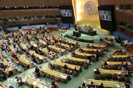 La reelección de Vietnam como miembro del Consejo de Derechos Humanos de la ONU para el mandato 2026-2028 refleja el reconocimiento de la comunidad internacional al prestigio del país indochino (Fuente: VNA)