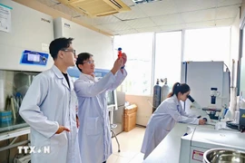 Foto ilustrada (Fuente: VNA)