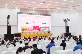 En el foro (Fuente: VNA)