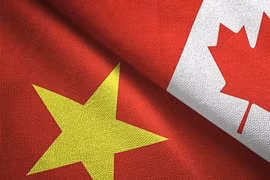 Foto ilustrada (Fuente: VNA)