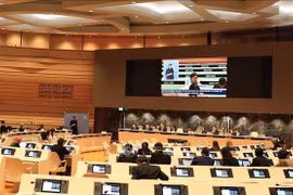 En la sesión de defensa por parte de la delegación vietnamita del informe sobre la Convención Internacional sobre los Derechos de las Personas con Discapacidad (Fuente: VNA)