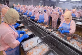 En una planta procesadora de camarones vietnamitas (Foto: VNA)