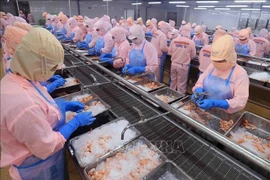 En una planta procesadora de camarones vietnamitas (Foto: VNA)