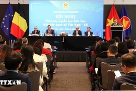 Vietnamitas residentes en el exterior apoyan desarrollo socioeconómico de su tierra natal ‌