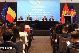 Vietnamitas residentes en el exterior apoyan desarrollo socioeconómico de su tierra natal ‌