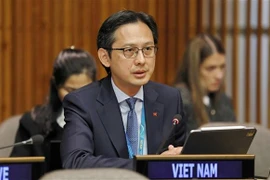 El embajador Do Hung Viet (Fuente: VNA)