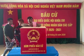 Pescadores emiten su voto en el colegio electoral de Da Le, zona especial de Truong Sa, provincia de Khanh Hoa. Foto: VNA.