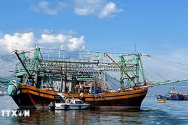 Un barco pesquero en la ciudad central de Da Nang (Fuente: VNA)