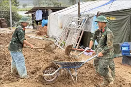 La provincia vietnamita de Dak Lak está llevando a cabo la “Campaña Quang Trung” (Fuente: VNA)