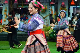Resolución 80: Cultura, la fuerza que guía el futuro de la nación