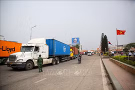 Las actividades comerciales están en pleno auge en la frontera entre Vietnam y Camboya, contribuyendo al objetivo de alcanzar los 20 mil millones de dólares en facturación. Foto: VNA