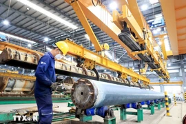 Foto ilustrativa (Fuente: VNA)