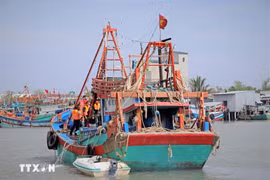 Foto ilustrada (Fuente: VNA)