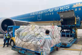 Vietnam Airlines opera un vuelo especial con casi 30 toneladas de suministros de socorro hacia Myanmar (Fuente: VNA)