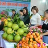 El Festival de la Fruta de Bac Ninh 2025 se celebrará del 5 al 10 de diciembre. (Foto: baobacninh) 