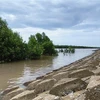 Ca Mau se esfuerza por frenar la erosión costera y ribereña para 2030