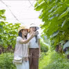 Turistas junto a los viñedos cargados de frutos en la comuna de Muong Phan, Dien Bien. (Foto: VNA)