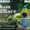 Concurso Vietnam BirdRace 2026 atraerá a cientos de fotógrafos de todo el mundo 